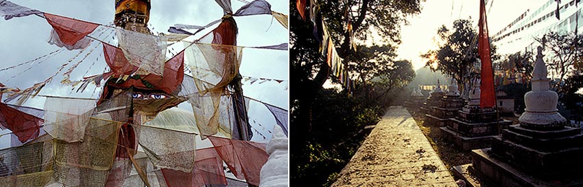 Reisfotografie van Francis Frionnet in Nepal